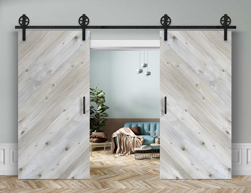 Doppelschiebetür Außenbereich in Scheunentor-Optik Modell Across - Farmhouse Barn Door rustikal