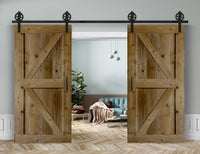Doppelschiebetür in Scheunentor-Optik Modell Arrow - Farmhouse Barn Door rustikal Muster nur Vorderseite / Eiche natur