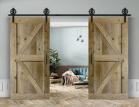 Doppelschiebetür in Scheunentor-Optik Modell Arrow - Farmhouse Barn Door rustikal Muster nur Vorderseite / natur geölt